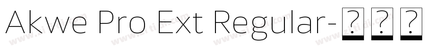 Akwe Pro Ext Regular字体转换